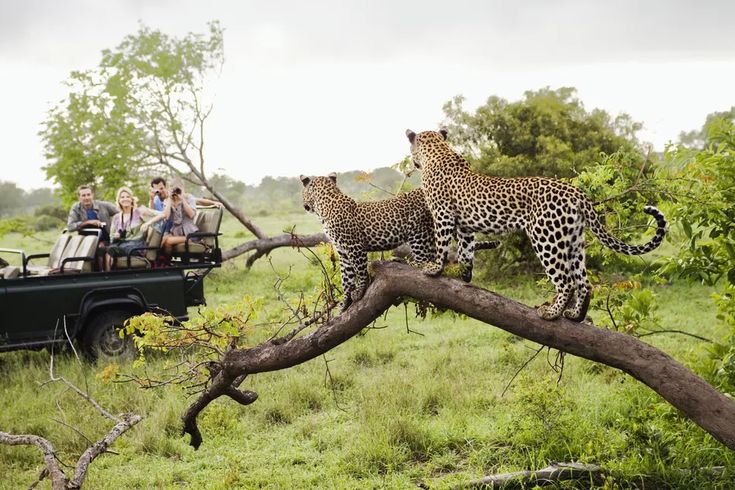 Lugares na África do Sul - Parque Nacional Kruger